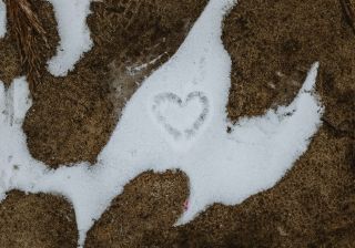 Ať už slavíte, nebo neslavíte... 💖 Láska není jen o jednom dni v roce… 💖 . Valentýn je krásná příležitost říct „Miluji tě“...