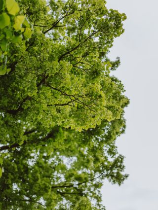 🌳 Týden končí, víkend začíná 😍🌞✅ ale jak pro koho, ten kdo podniká a kutí a tvoří ví, že dny volna nejsou závislý na dni v...