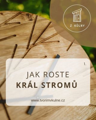 Když se řekne dub 🌳 většina lidí si vybaví majestátní strom s mohutnou korunou. A není divu – dub je od pradávna považován...